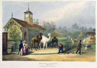 La Casa del Camello en los Jardines Zoológicos, Regent