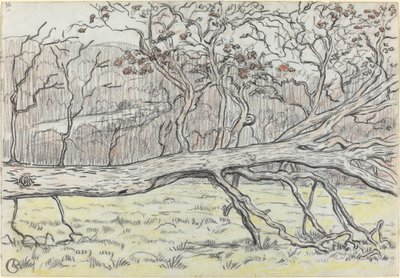 Árbol Tumbado, Normandía de Georges Lacombe