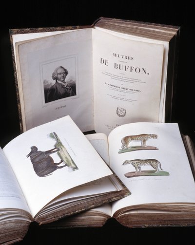 Naturaleza muerta de las “Obras completas de Buffon” por el naturalista Georges Louis Leclerc, Conde de Buffon (1707 - 1788). Grabado de 1837. de Georges Louis Leclerc