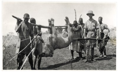 León en Bahr el Ghazal, Am Dafok, 1925 de Georges Marie Haardt