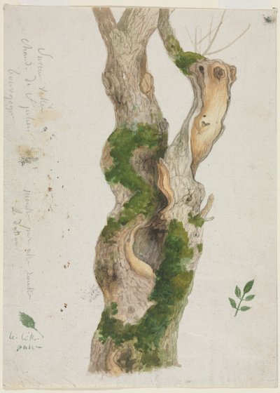 estudio de un tronco de árbol de Georges Michel