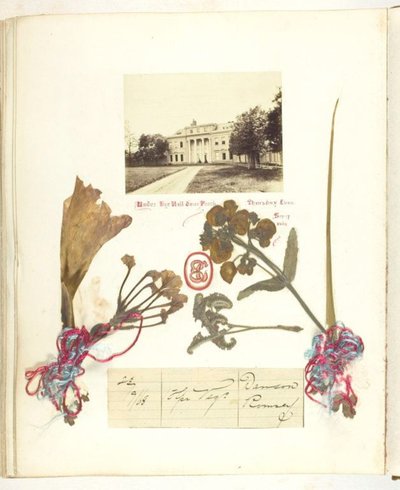 Sin Título de Georgina Cowper