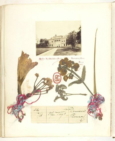 Sin título [vista de Broadlands con flores secas] de Georgina Cowper