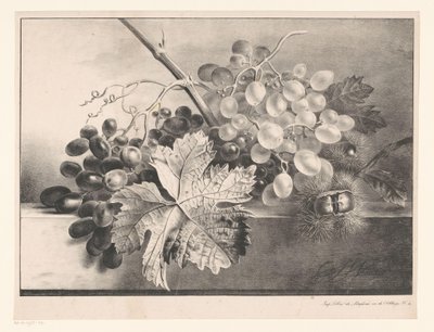 Bodegón con uvas y castañas de Georgius Jacobus Johannes van Os