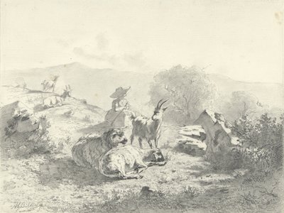 Pastora con cabras y ovejas en un paisaje montañoso de Gerard Bilders