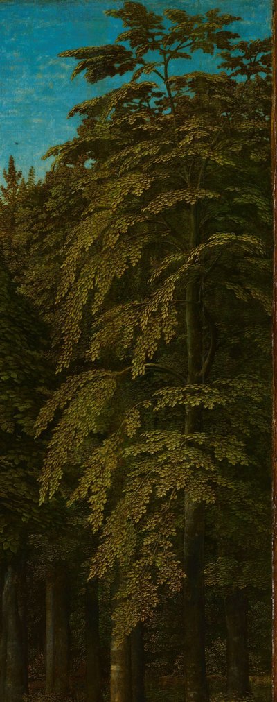Vista en un bosque, ala exterior derecha de un tríptico de Gerard David