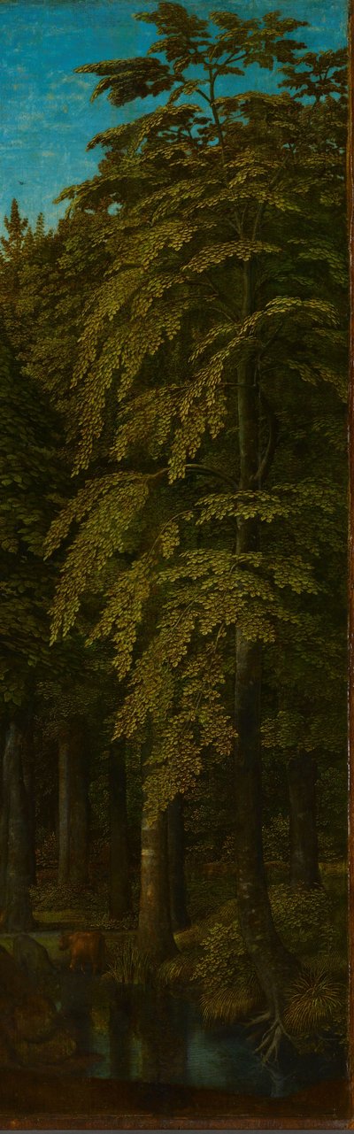 Vista en un bosque, ala derecha exterior de un tríptico, c.1505-c.1515 de Gerard David
