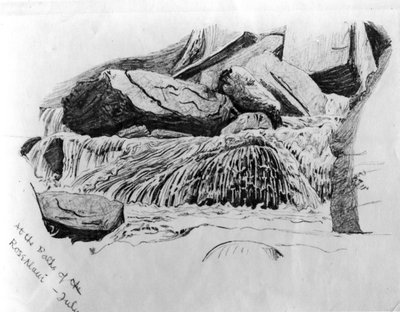 En los Baños de Rosenlaui- Julio, c.1867 de Gerard Manley Hopkins