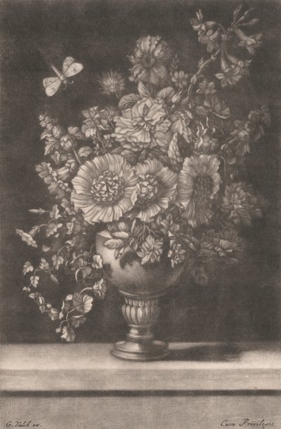 Una flor de Gerard Valk