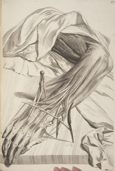 Anatomia Humani Corporis por Govard Bidloo, 1685 de Gerard de Lairesse