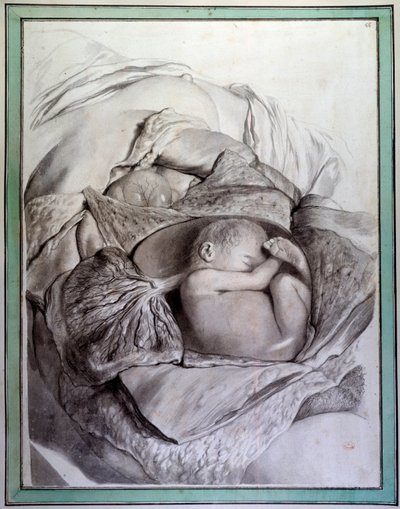Representación de un feto humano en un útero. Grabado de Gerard de Lairesse ilustrando la 