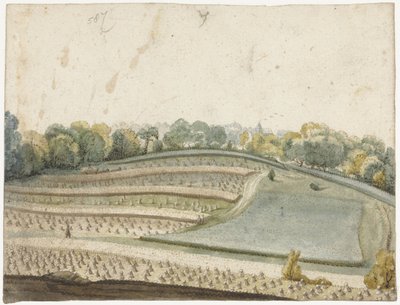 Panorama de un campo de cereales ondulado visto desde arriba de Gerard ter Borch (I)