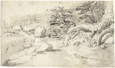 Estudio de las raíces de un árbol cerca de un arroyo de Gerard ter Borch (I)