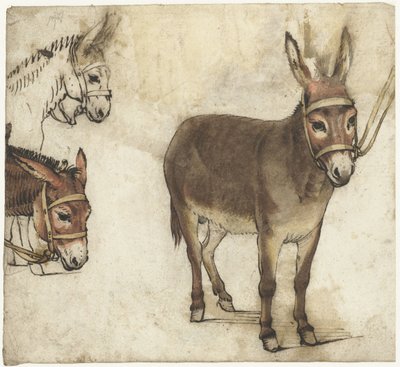 Hoja de estudio con caballetes de Gerard ter Borch (I)