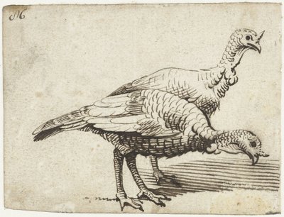 dos pavos de Gerard ter Borch (I)