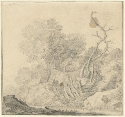 Casas entre árboles cerca del agua de Gerard ter Borch (II) (possibly)