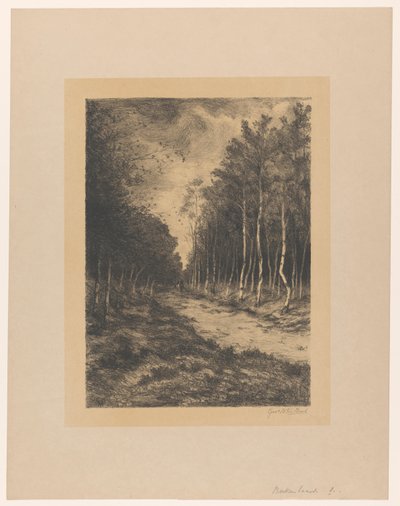 Camino del bosque con dos jinetes
Avenida de los abedules (título en el objeto) de Gerarda Wilhelmina ten Hoet (signed by artist)