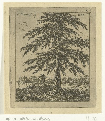 Paisaje con haya y cazador el abedul de Gerardus Emaus de Micault