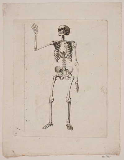 Esqueleto de Gerhard Ludvig Lahde