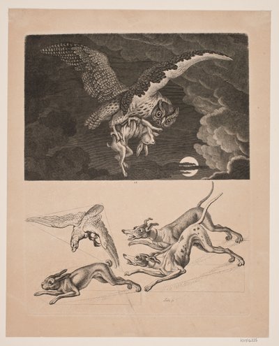 Tabla con búho volando con liebre, debajo; perros, liebre y halcón de caza de Gerhard Ludvig Lahde