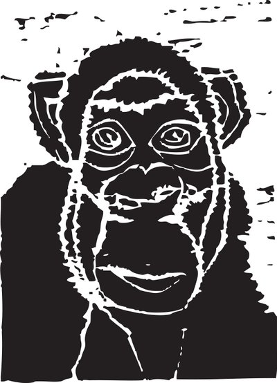 Chimpancé de Gerhardt Isringhaus