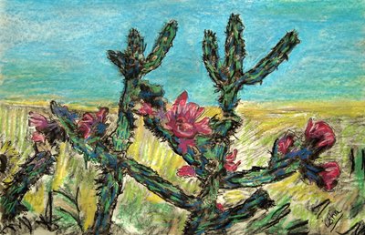 Cholla en flor, 2017 (dibujo sobre papel) de Gerhardt Isringhaus