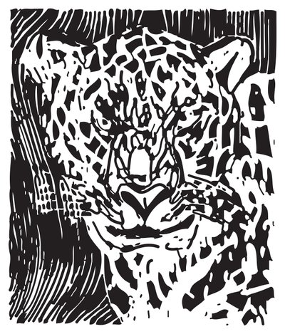 Leopardo de Gerhardt Isringhaus