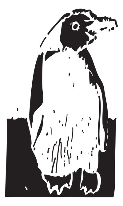 Pingüino de Gerhardt Isringhaus
