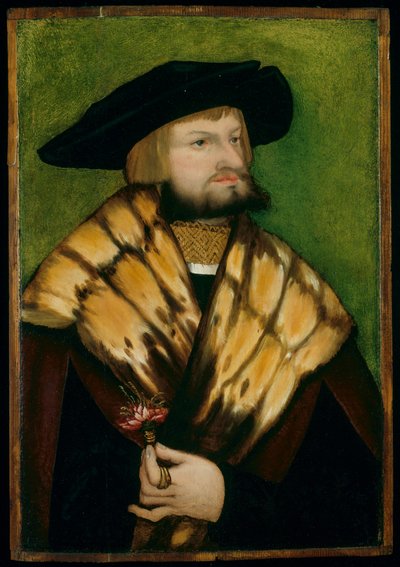 Retrato de Leonhard Fuchs de German