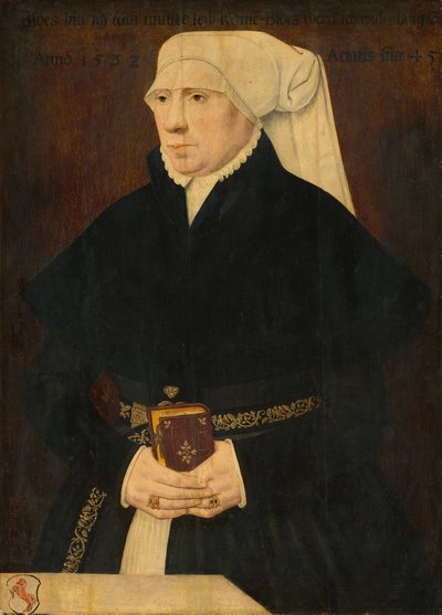Retrato de una dama de German 16th Century