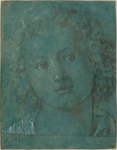 Cabeza de un Niño de German 16th Century after Albrecht Dürer
