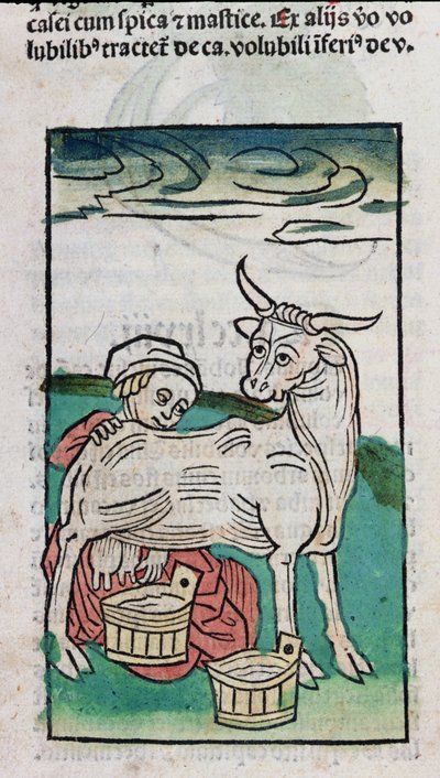Una criada ordeñando una vaca, 1491 de German School