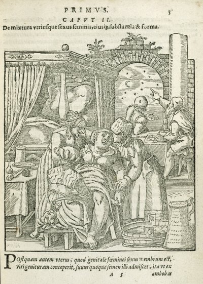 Una mujer en trabajo de parto, ilustración del capítulo 2, Libro 1 de Sobre la Concepción y el Crecimiento del Hombre por Rueff, 1587 de German School