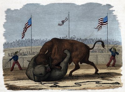 Una feroz lucha entre un toro y un oso en una arena. En “Wenn Jemand eine Reise thut, so kann er was erzählen” (Cuando alguien viaja, esto es lo que puede contar), cuento alemán de Franz Wiedemann de German School