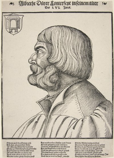 Albrecht Durer, a los 56 años de German School