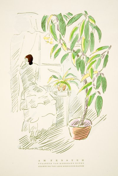 Am Fenster, plantas por Hermann Rothe, de Styl, pub.1922 de German School