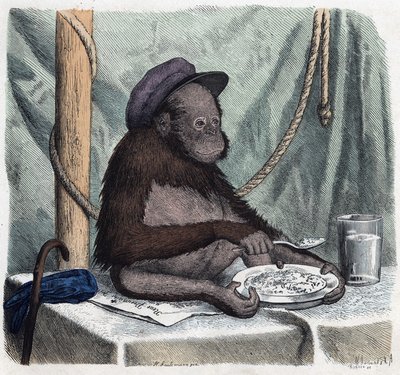Un orangután educado come arroz con una cuchara. En “Wenn Jemand eine Reise thut, so kann er was erzählen” (Cuando alguien viaja, esto es lo que puede contar), cuento alemán de Franz Wiedemann de German School