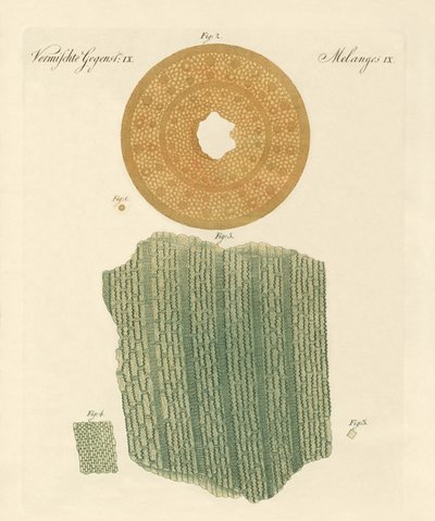 Anatomía de una paja de German School