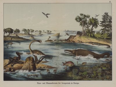 Animales y Plantas del Período Jurásico en Europa de German School
