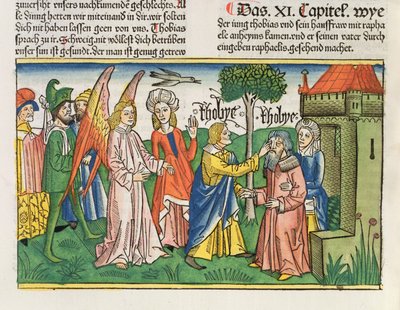 Apócrifos: Tobías restaura la vista de su padre Tobit con la hiel de un pez, de la Biblia de Núremberg (Biblia Sacra Germanaica) de German School
