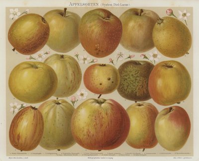 Manzanas de German School