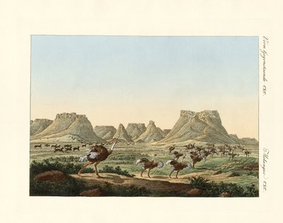 Área en Sudáfrica en el promontorio de Buena Esperanza de German School