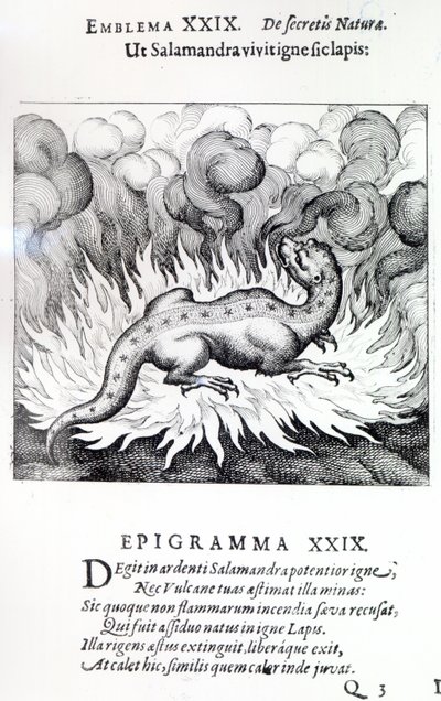 Como la salamandra vive en el fuego, así también la piedra, Emblema XXIX de Atalanta fugiens por Michael Maier, 1617 de German School