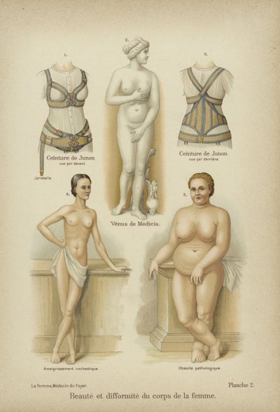 Belleza y deformidad en el cuerpo femenino de German School