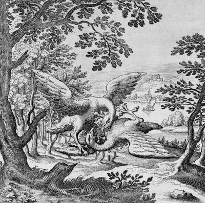 Pájaros peleando del Musaeum Hermeticum de German School