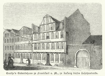 Lugar de nacimiento del autor alemán Johann Wolfgang von Goethe, Frankfurt-am-Main, principios del siglo XIX (grabado) de German School