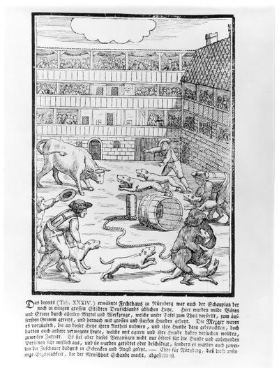 Lucha de toros y osos de German School