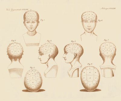 Ángulos faciales de Camper de German School