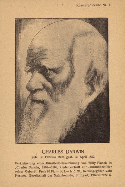 Charles Darwin (1809-1882), naturalista inglés (litografía) de German School