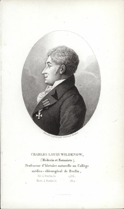 Charles Louis Wildenow de German School